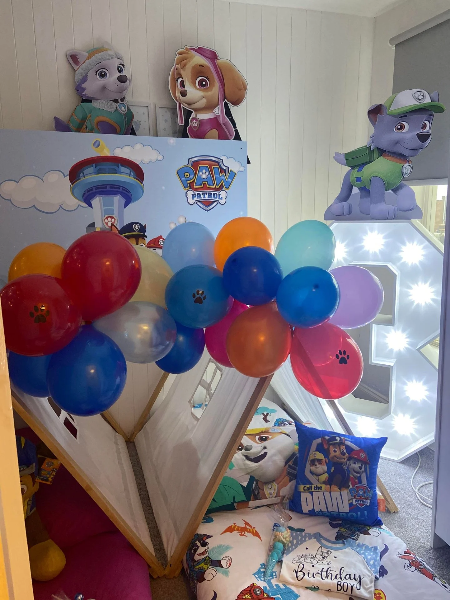 Paw patrol themed teepee sleepover tent hire in Bexley