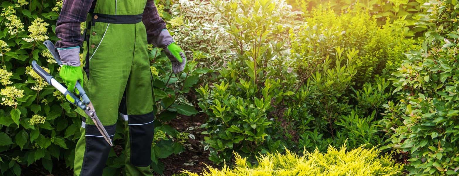 Landscaping Cork - Hedge Cutting  Trimming Cork