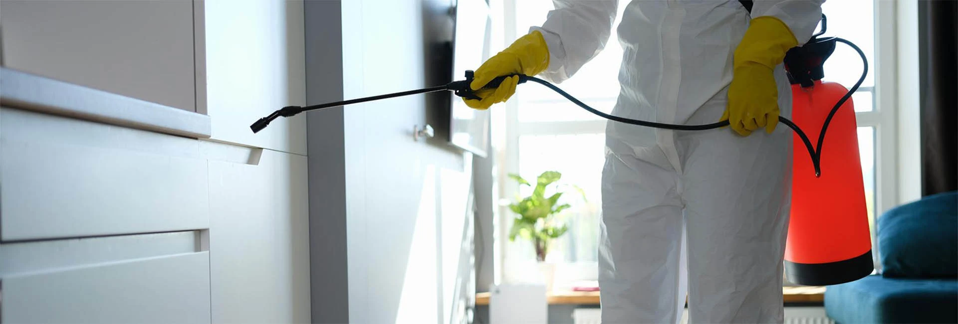 Cork Pest Control For Commercial And Domestic Properties
