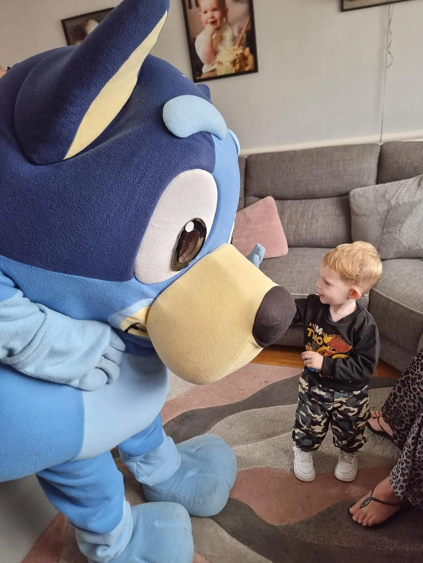 Sicdup party services 