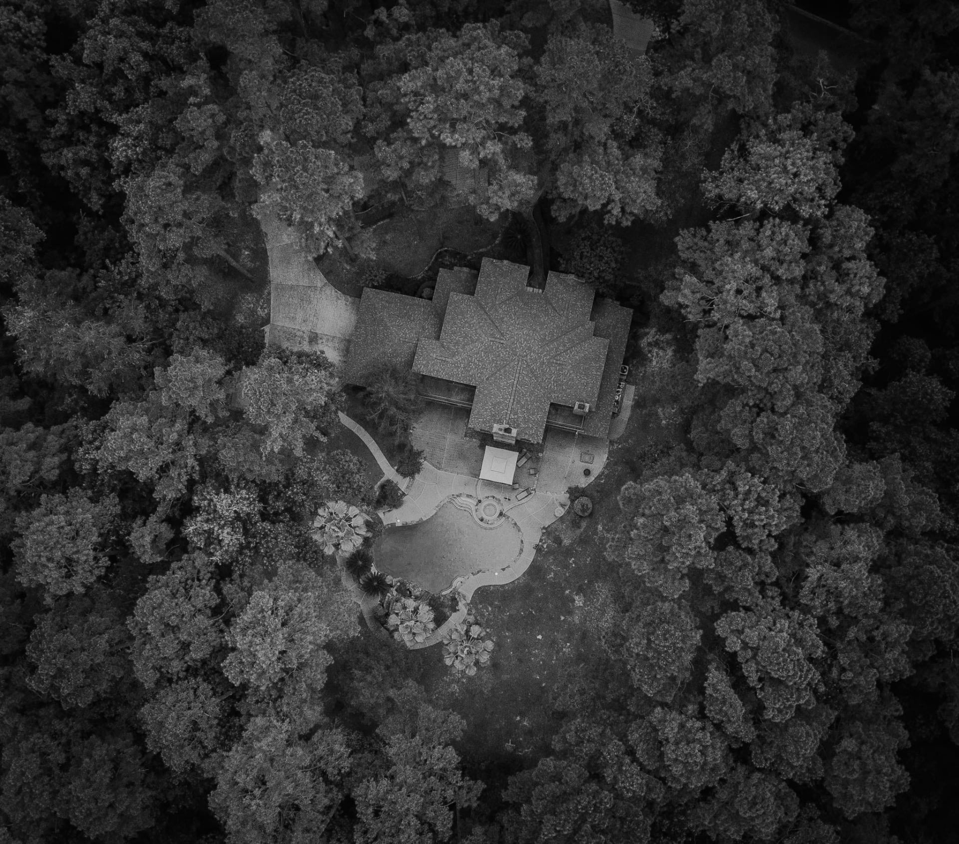 Executive Protection, low profile, security, close protection