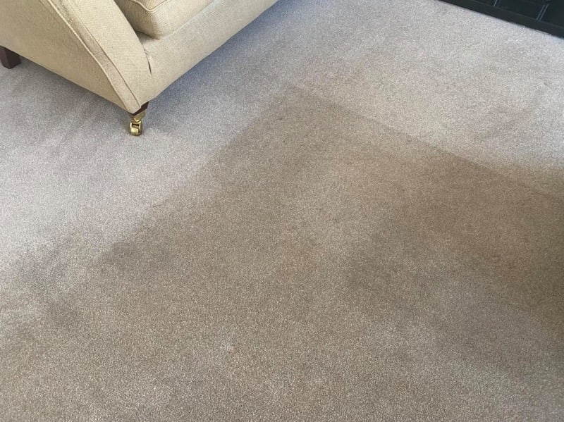 Gallery Extreme Kleen Carpet & Upholstery Cleaning Specialist East