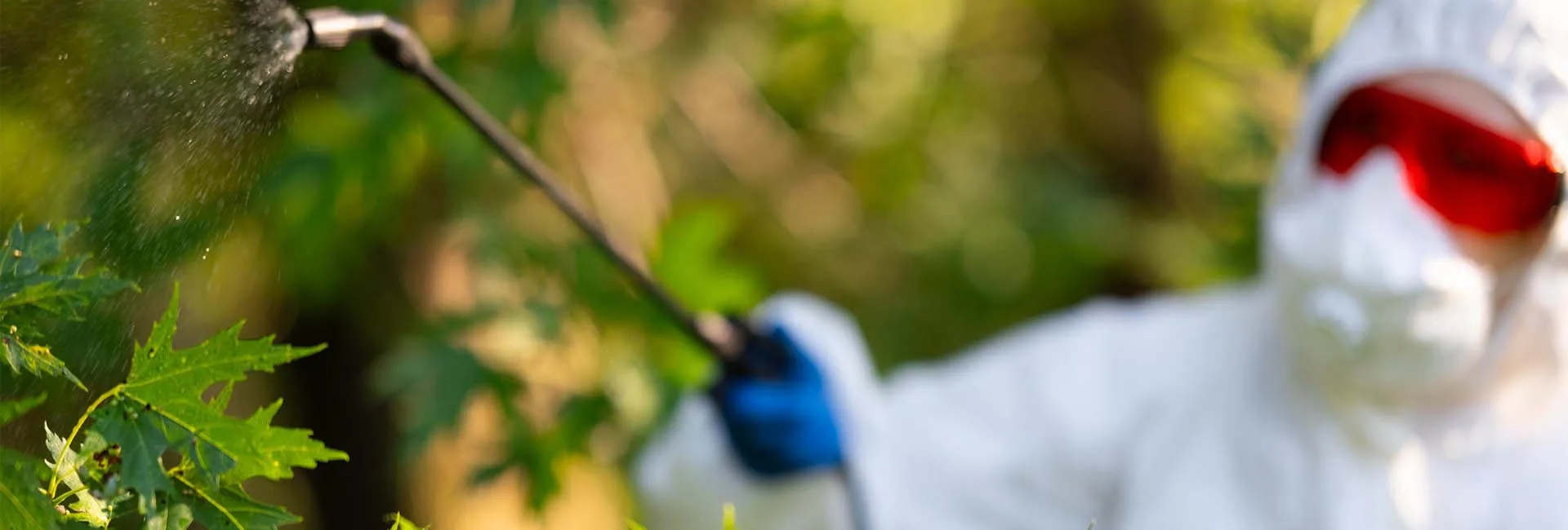 Cork Pest Control For Commercial And Domestic Properties