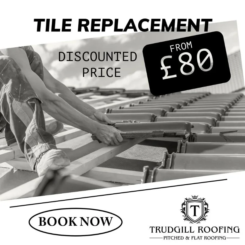 Trudgill Roofing, Covering Bedford Borough, Central Bedfordshire, North Hertfordshire