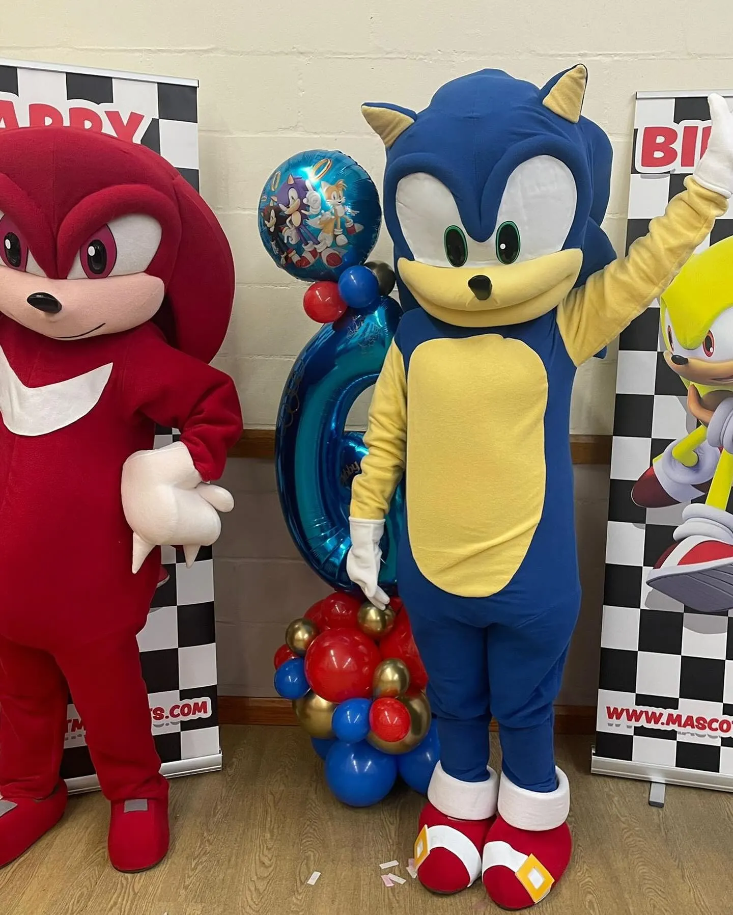 Dartford mascot costume hire - Sonic and Knuckles