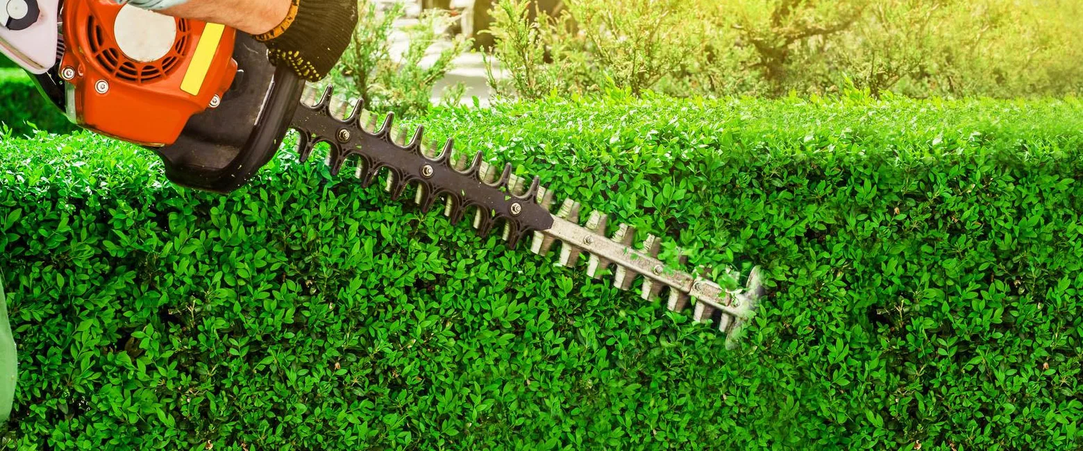 Hedge Cutting And Trimming Cork Ie