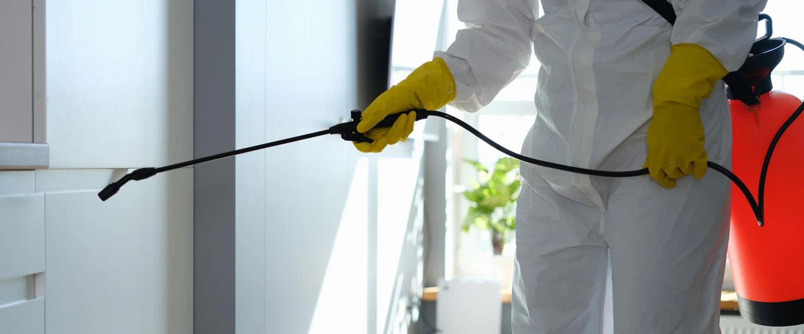 Cork Pest Control For Commercial And Domestic Properties