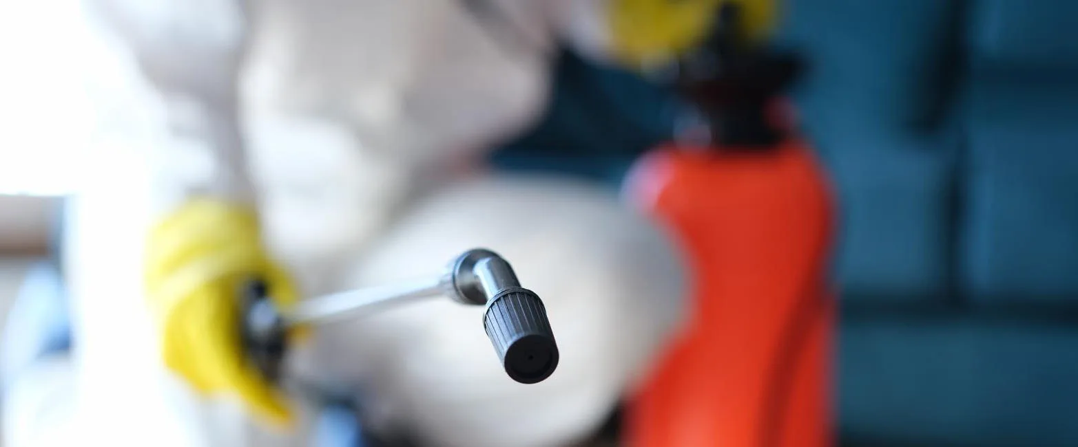 Cork Pest Control For Commercial And Domestic Properties