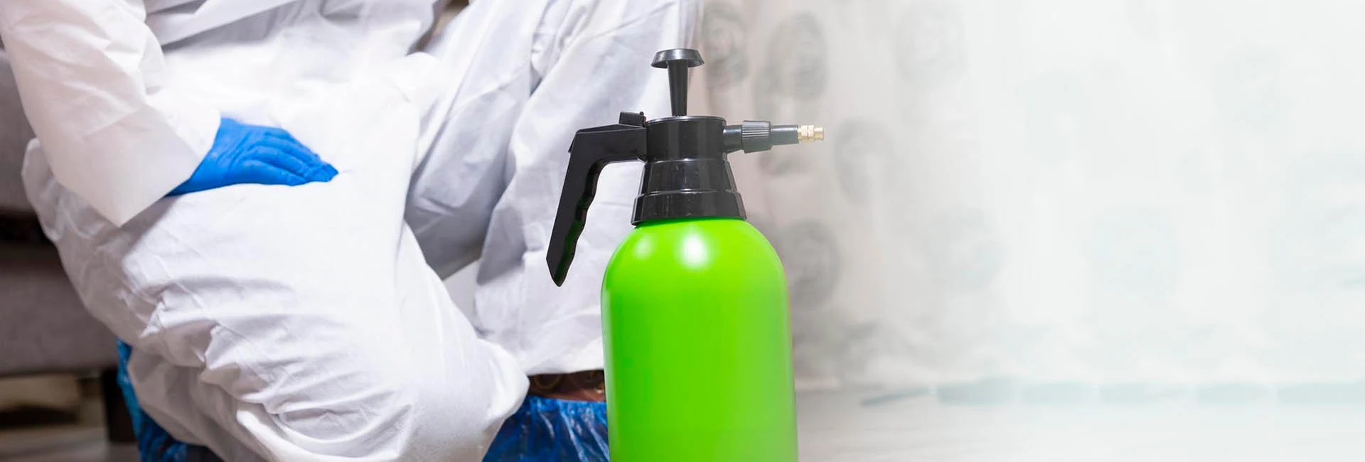 Cork Pest Control For Commercial And Domestic Properties