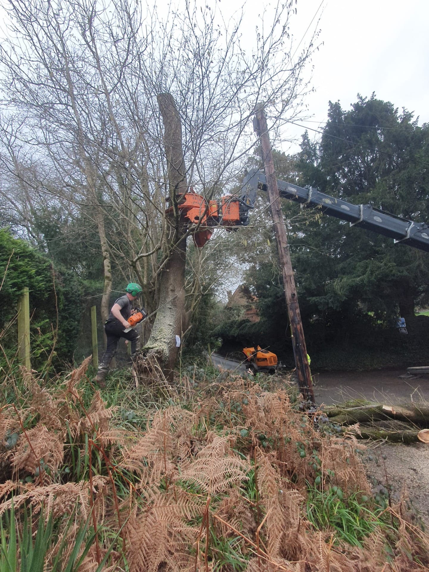 Three Bridges garden site clearance