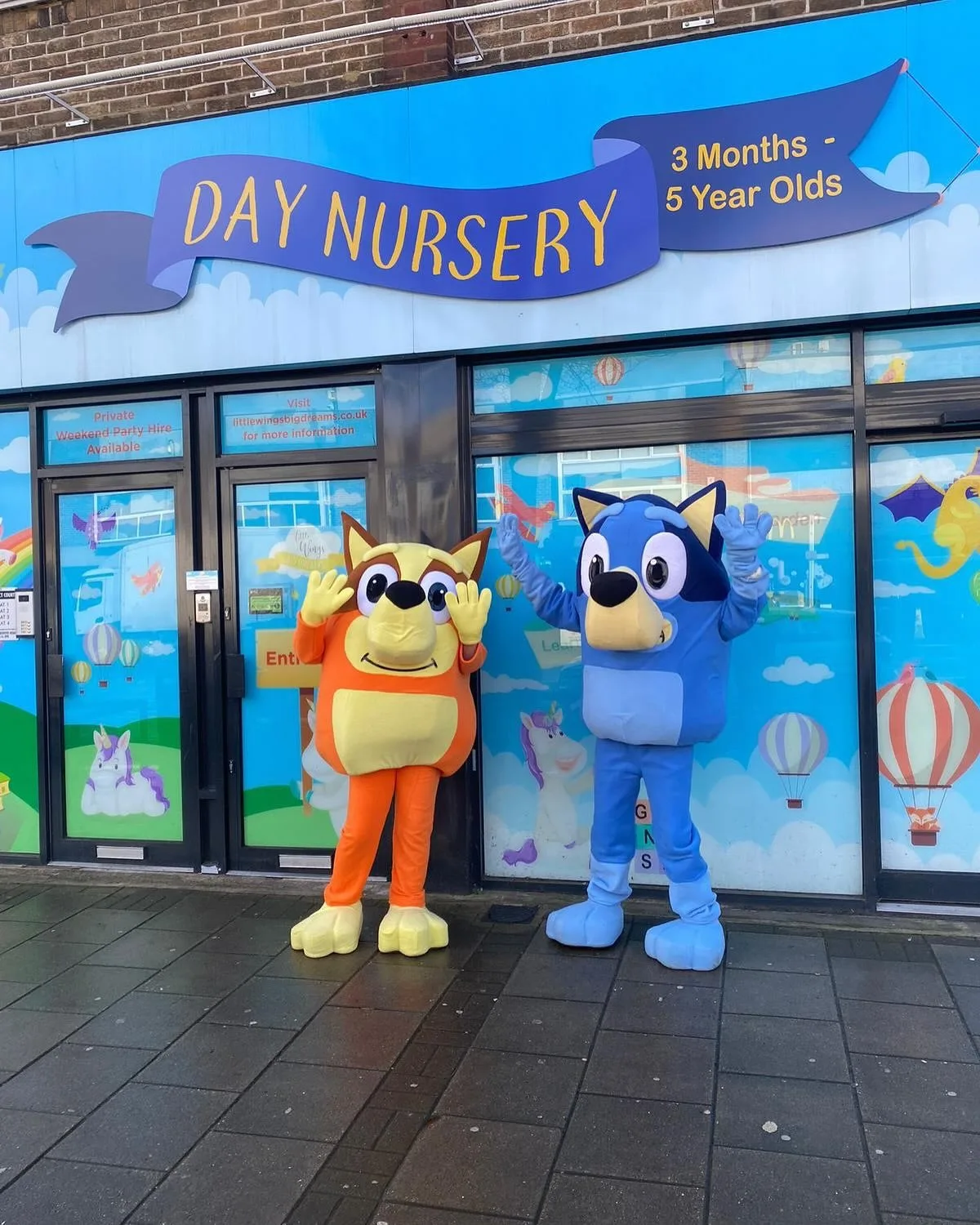 Dartford Bluey mascot costume rentals