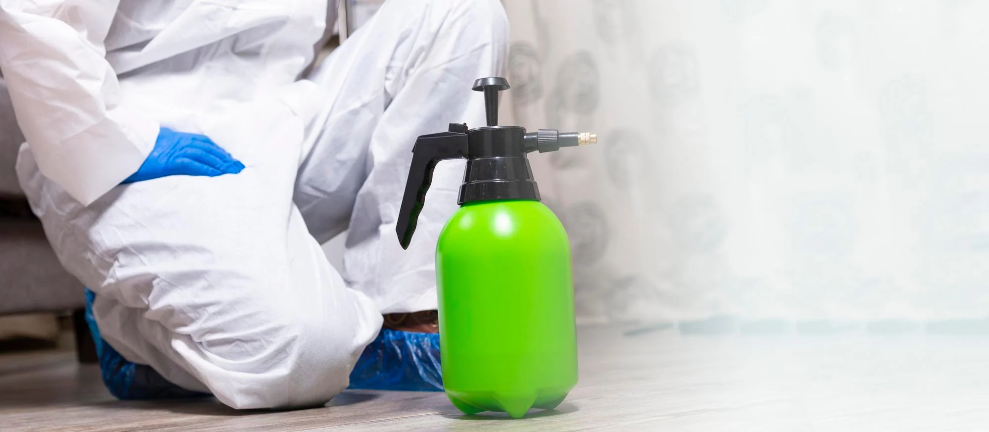 Cork Pest Control For Commercial And Domestic Properties