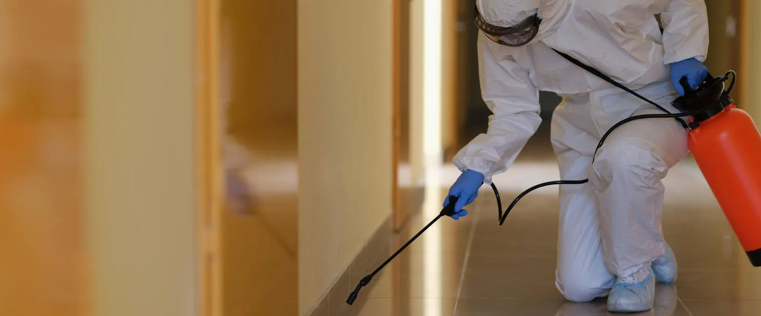 Cork Pest Control For Commercial And Domestic Properties