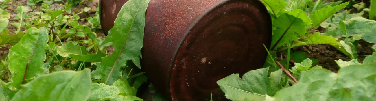 Rubbish Removals Worthing