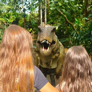 Ultimate Dinosaurs Birthday Package