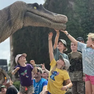 Dinomania Dino Discovery Zone