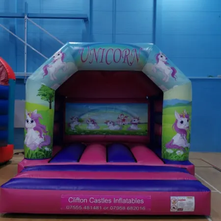 Princess Bouncy Castle Hire