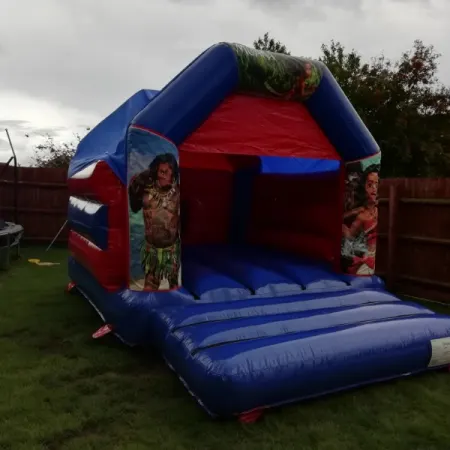 Standard Bouncy Castles