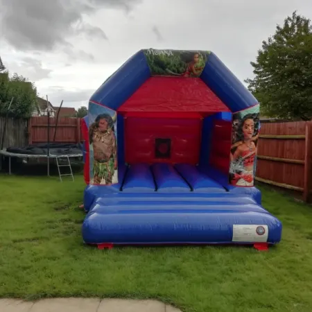 Standard Bouncy Castles
