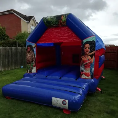 Standard Bouncy Castles