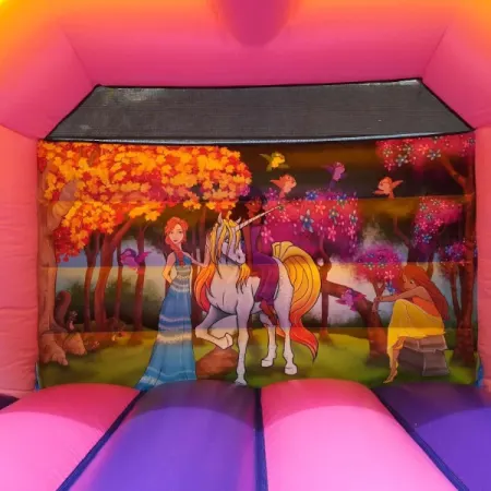 Princess Bouncy Castle Hire