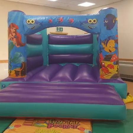 Standard Bouncy Castles
