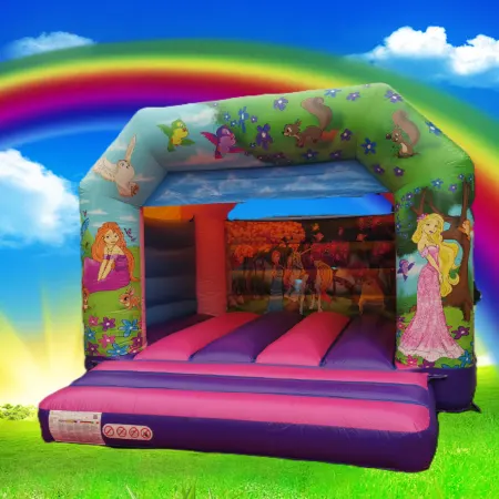 Princess Bouncy Castle Hire