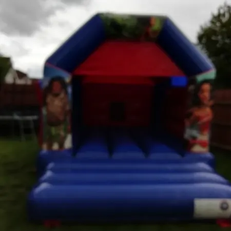 Standard Bouncy Castles