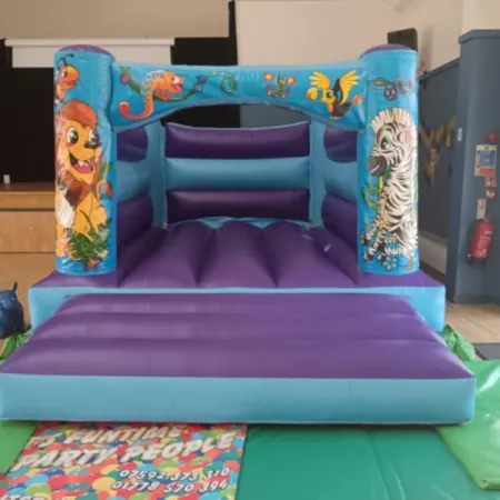 Standard Bouncy Castles