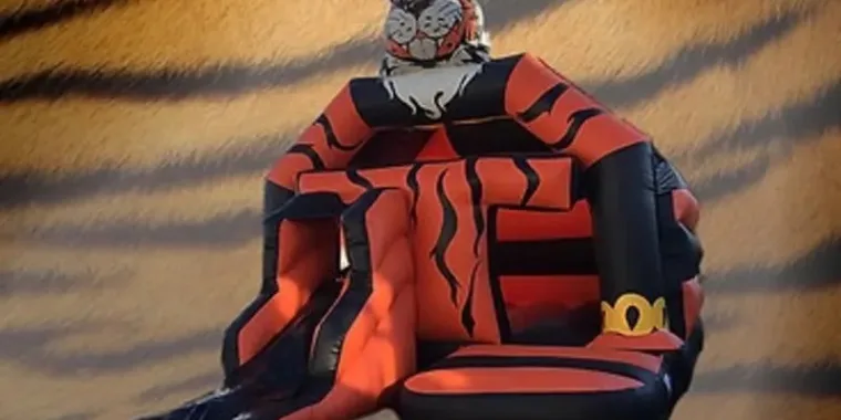 Your Local Bouncy Castle Experts