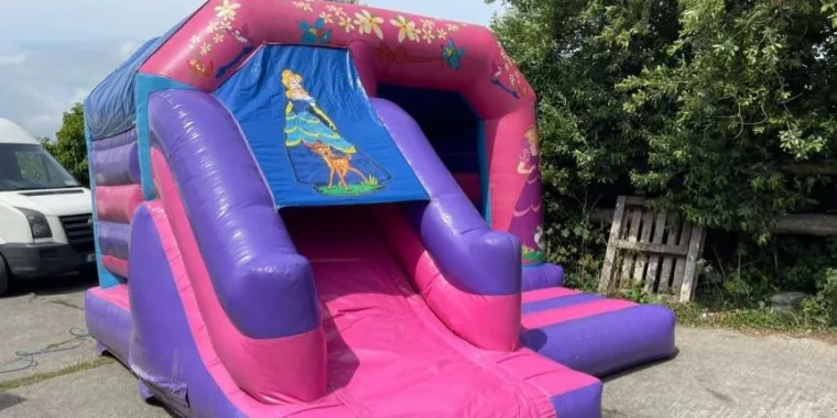 Why We Are Number One Choice For Party  Event Entertainment