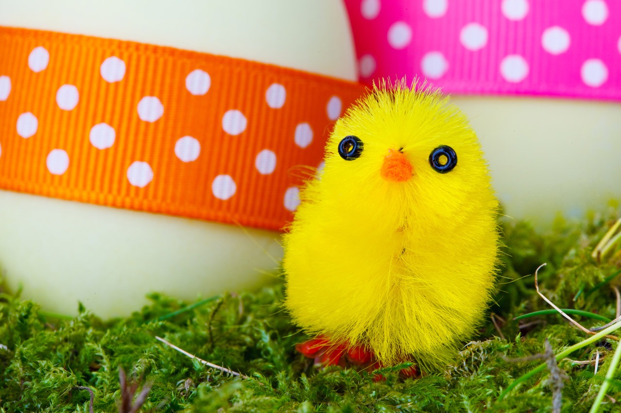 Prepare For Easter With Cambridge Bouncy Castles