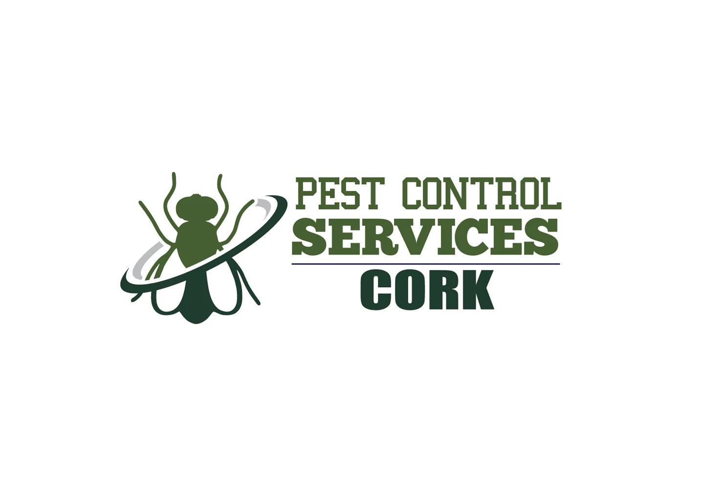 Crawling Insects And Spiders - Cork Pest Control Service