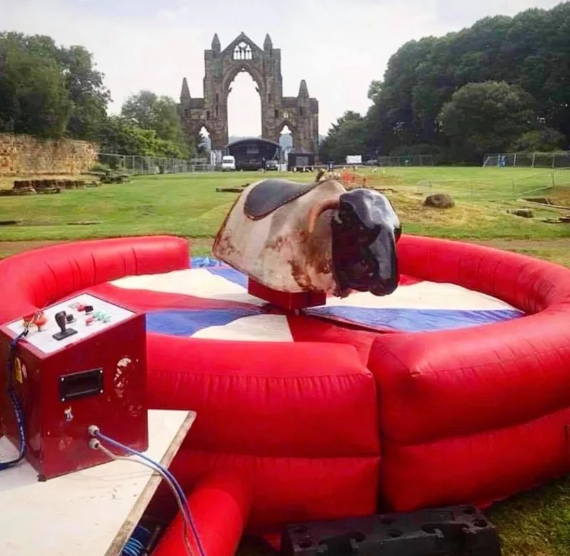 Rodeo Bull Hire