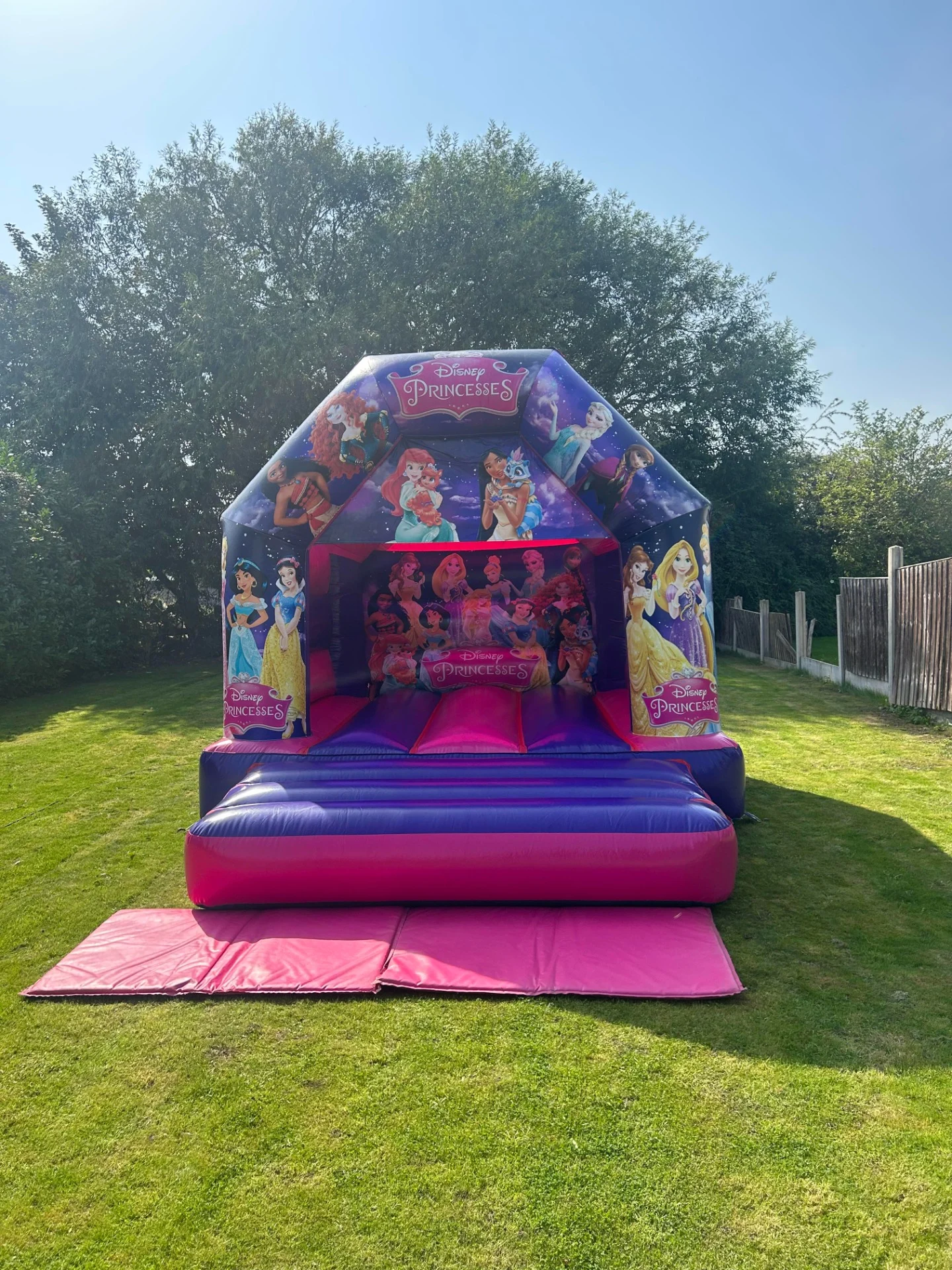 Princess Inflatable Princess Theme A Frame Castle - Tiny Tots Inflatables