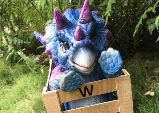 Themed Parties - Raptor Encounters