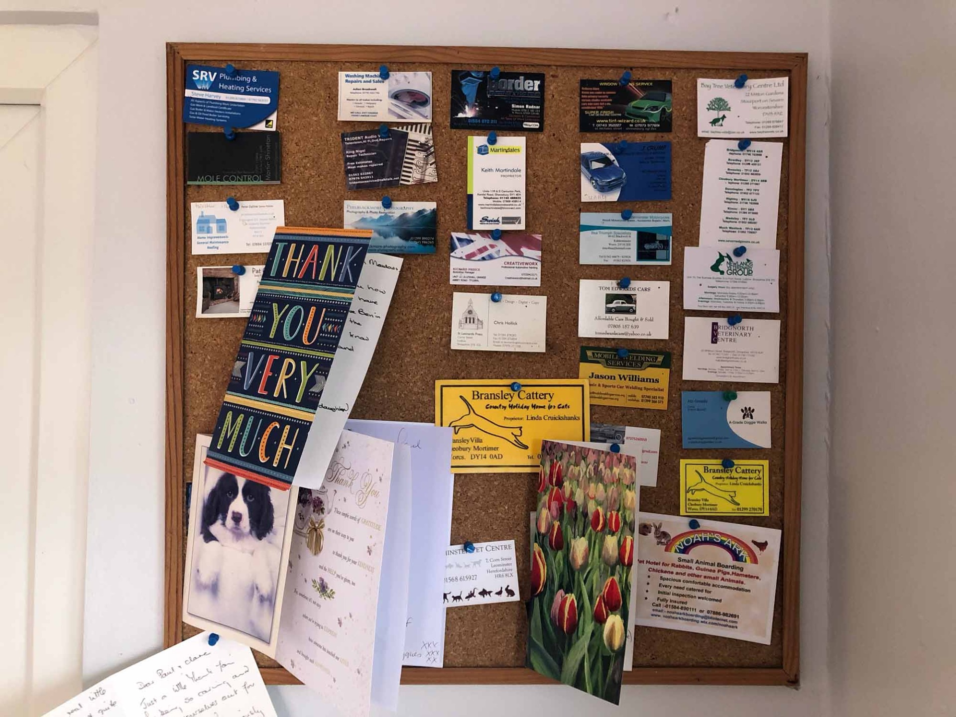 Home Wild Meadow Boarding Kennels, Kidderminster