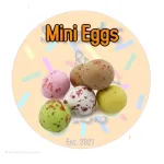 100g Chocolate Mini Eggs