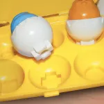 Shape And Squeak Play Eggs