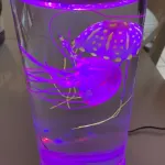 Jellyfish Sensory Tank