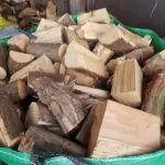 Mixed Forest Logs