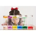 Rainbow Liquid Timers Set Of 6