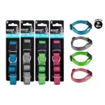 Smart Choice Colour Dog Collar