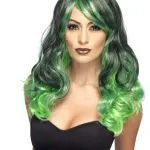 Bewitching Ombre Wig