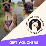 Gift Vouchers