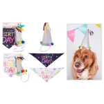 Smart Choice Birthday Bandana And Party Hat For Dogs