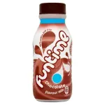 Funtime Flavoured Milk 500ml