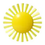 Plui Sunny Brush