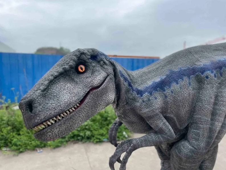 Childrens Parties - Raptor Encounters