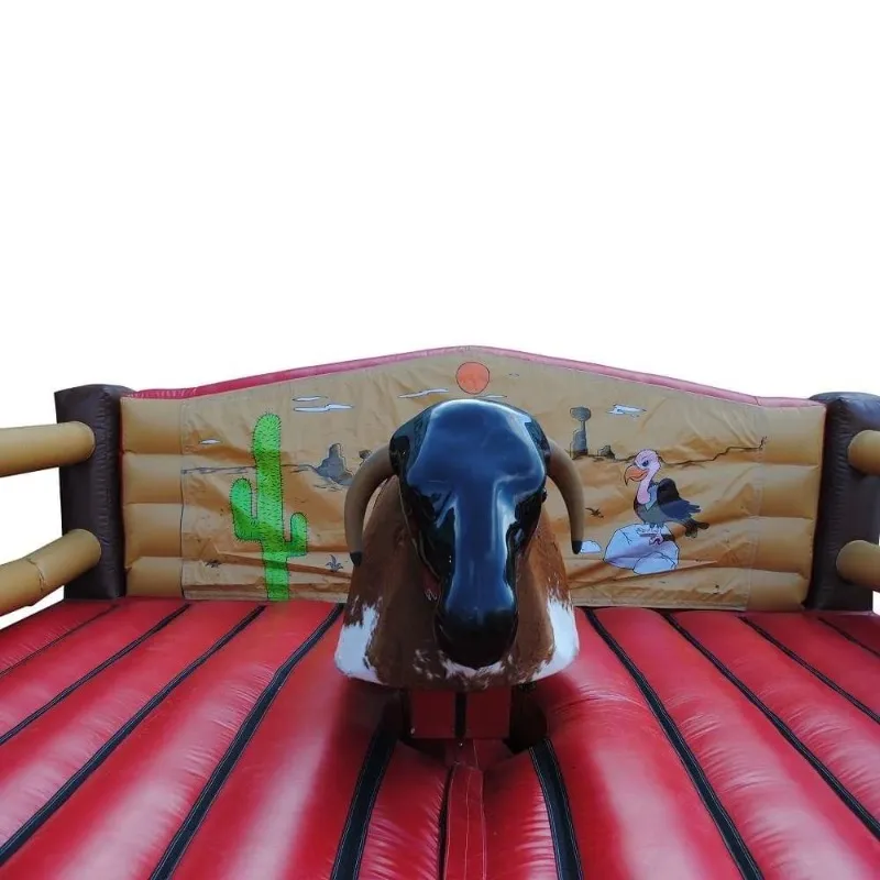 Bull ride rental discount